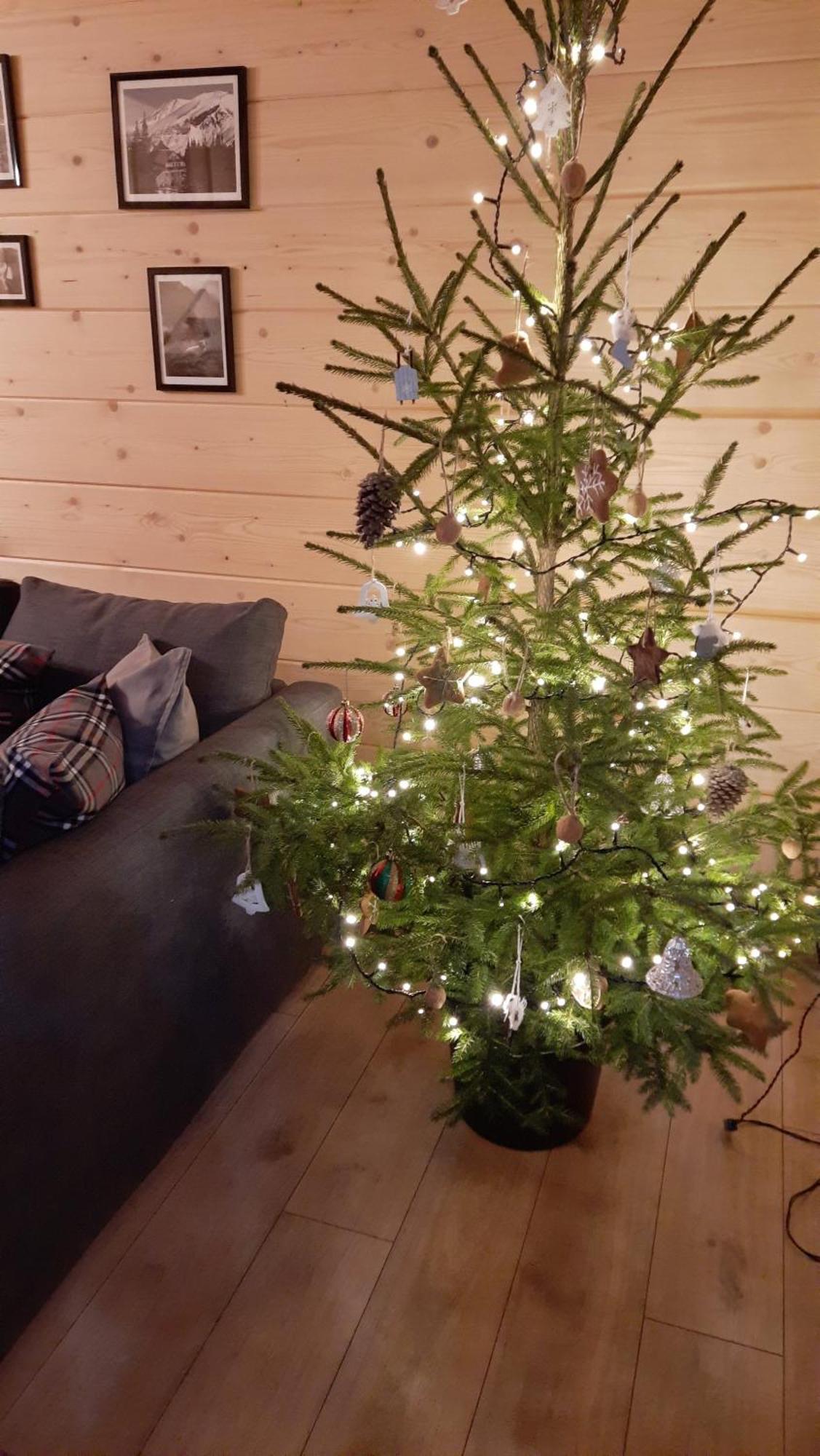 Goralska Chata Przy Dolinie Chocholowskiej Witow  Bagian luar foto
