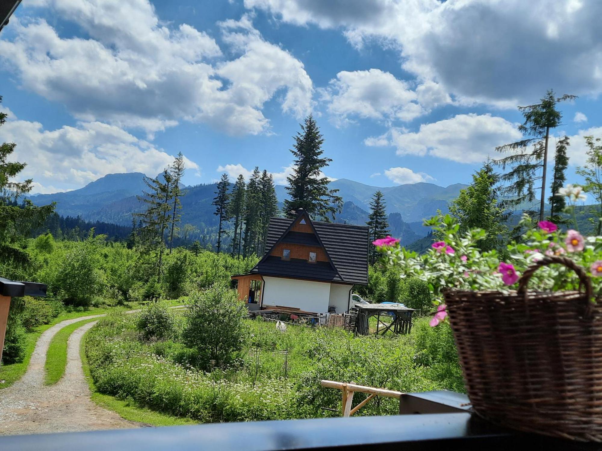 Goralska Chata Przy Dolinie Chocholowskiej Witow  Bagian luar foto