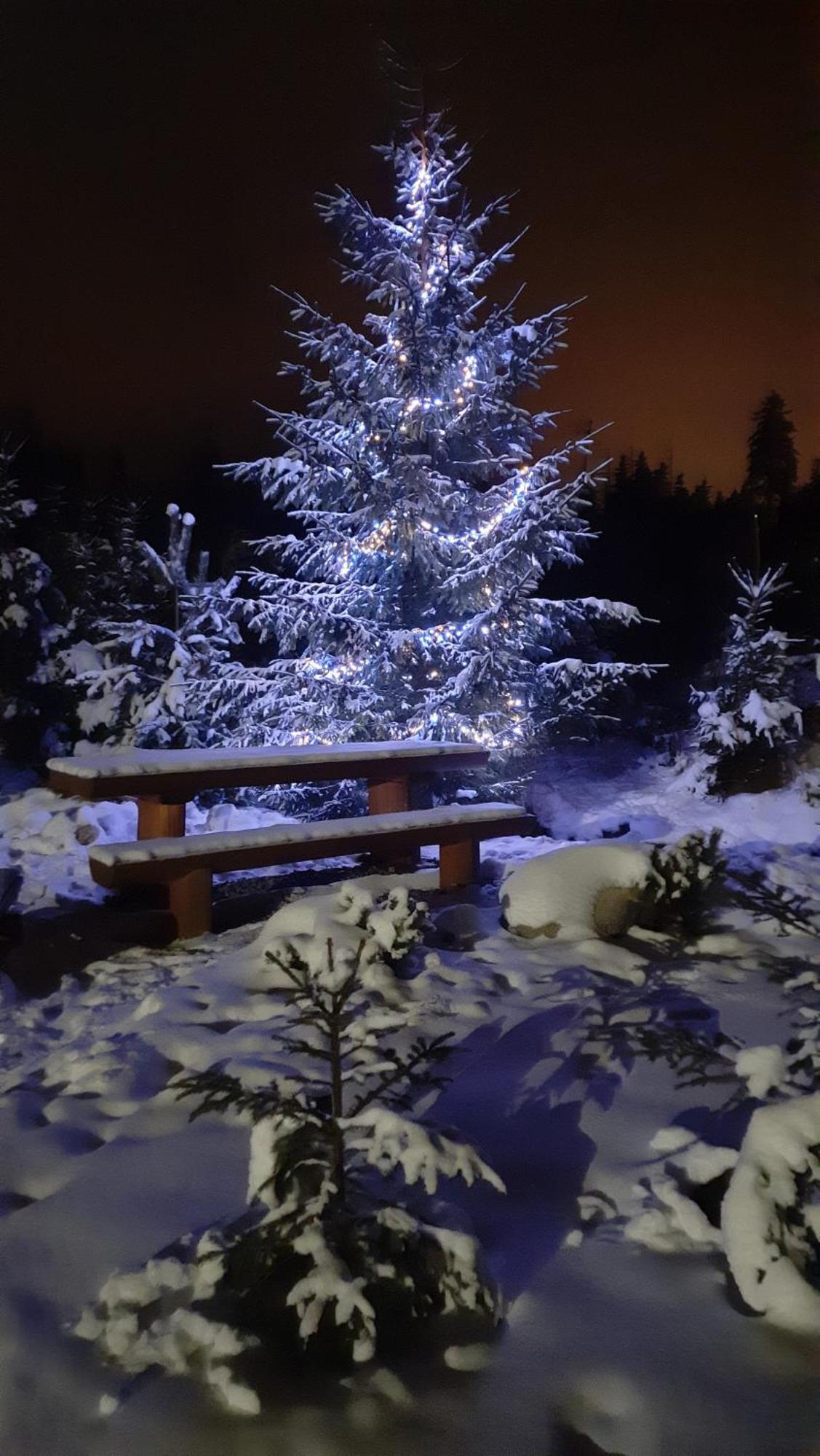 Goralska Chata Przy Dolinie Chocholowskiej Witow  Bagian luar foto