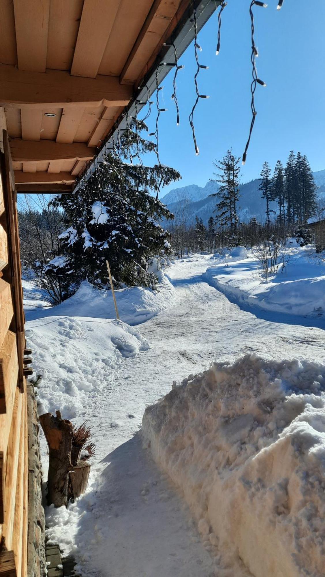 Goralska Chata Przy Dolinie Chocholowskiej Witow  Bagian luar foto
