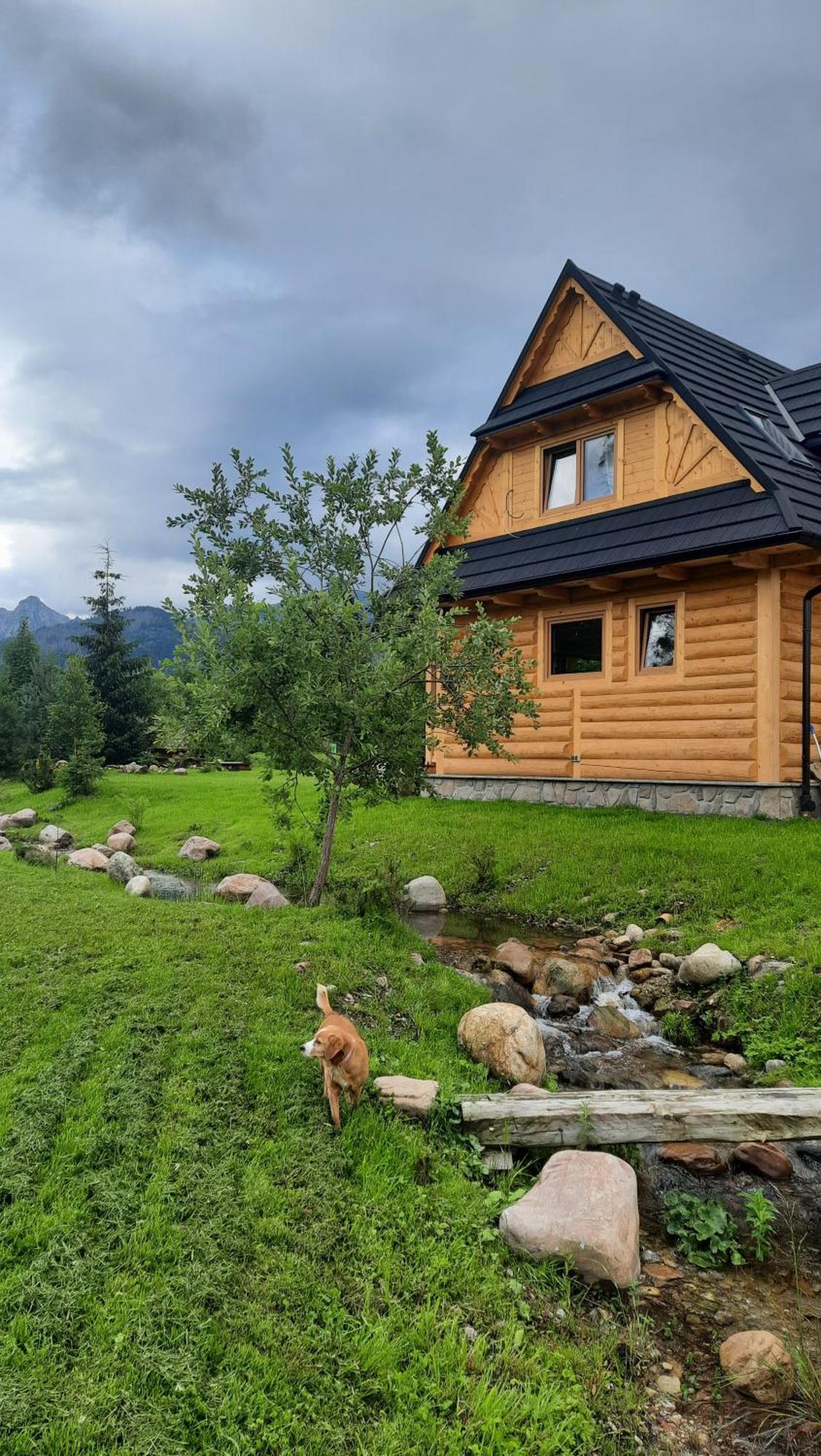 Goralska Chata Przy Dolinie Chocholowskiej Witow  Bagian luar foto